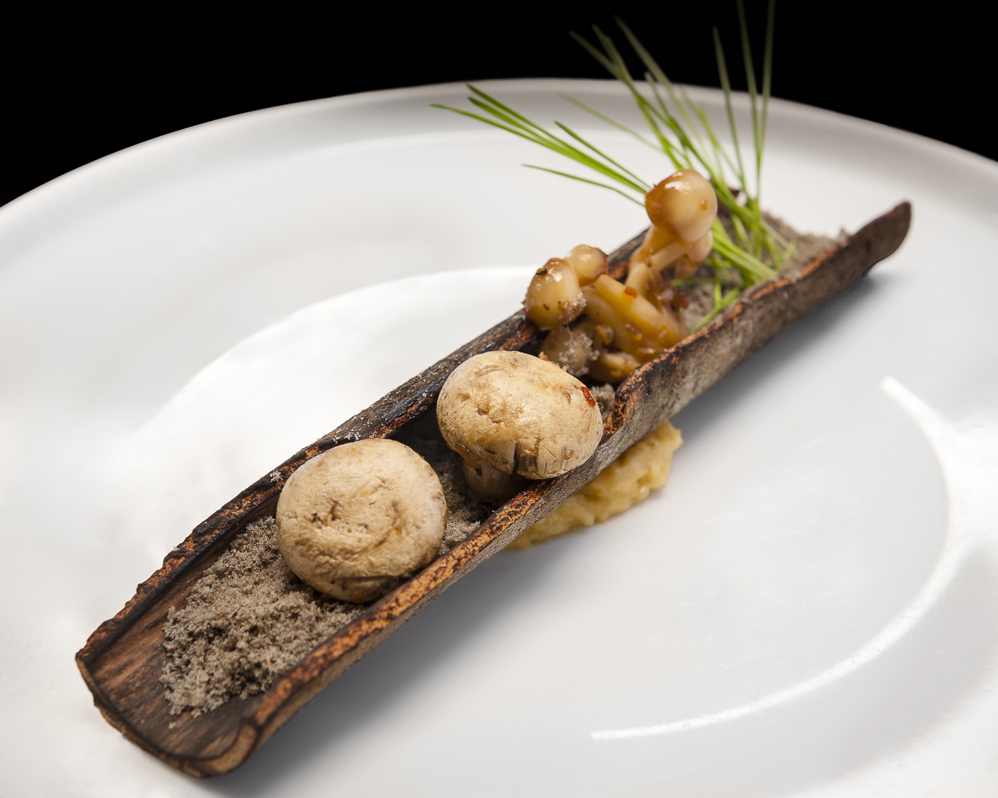 A nature-inspired dish plated with mushroom and edible dirt. 