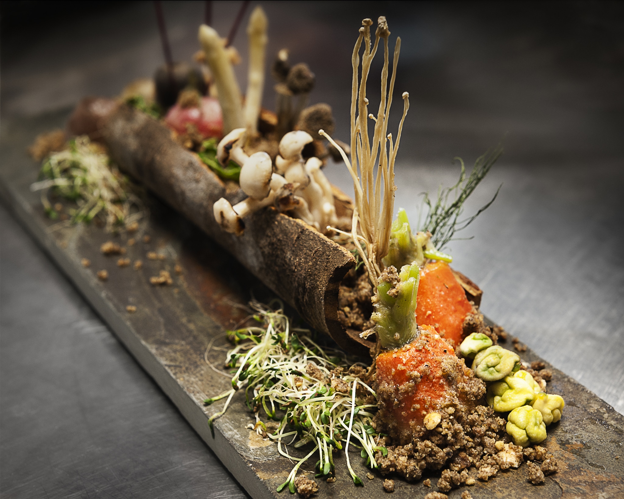A plate inspired by the restaurant Noma in a student assignment. This shows a log with various vegetables, herbs, and leafy greens along with edible dirt.