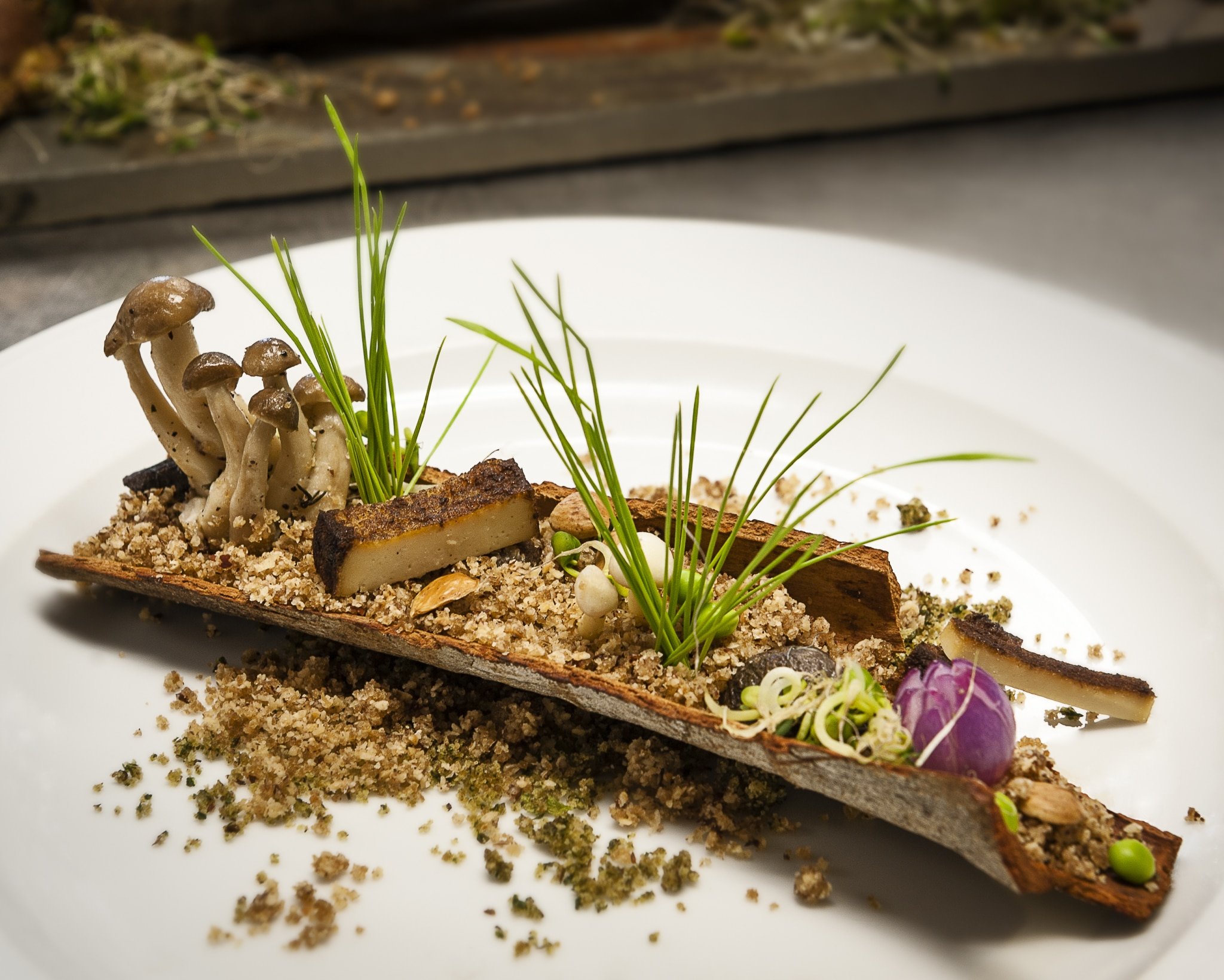 A culinary plate inspired by Noma interprets a scene from nature with a log containing mushrooms and edible dirt.