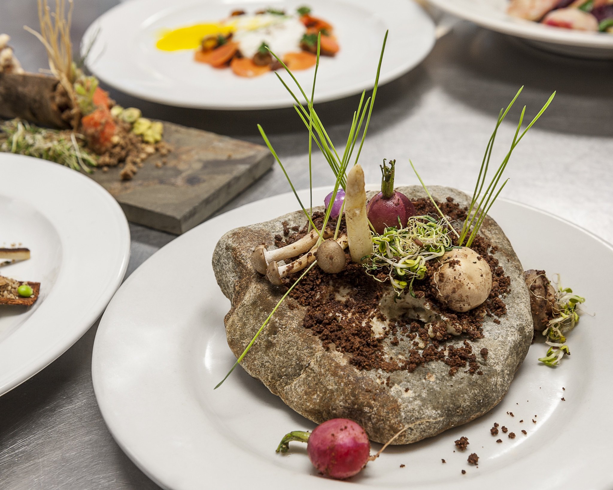 A culinary plate contains a large rock with edible dirt and other herbs and vegetables for a nature-inspired dish.