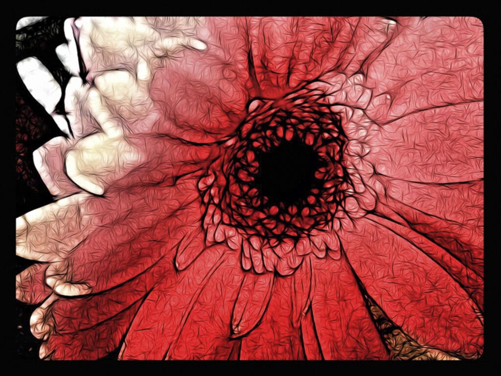 A red Gerbera daisy rendered in the Tangled FX style gives unique texture to the image.