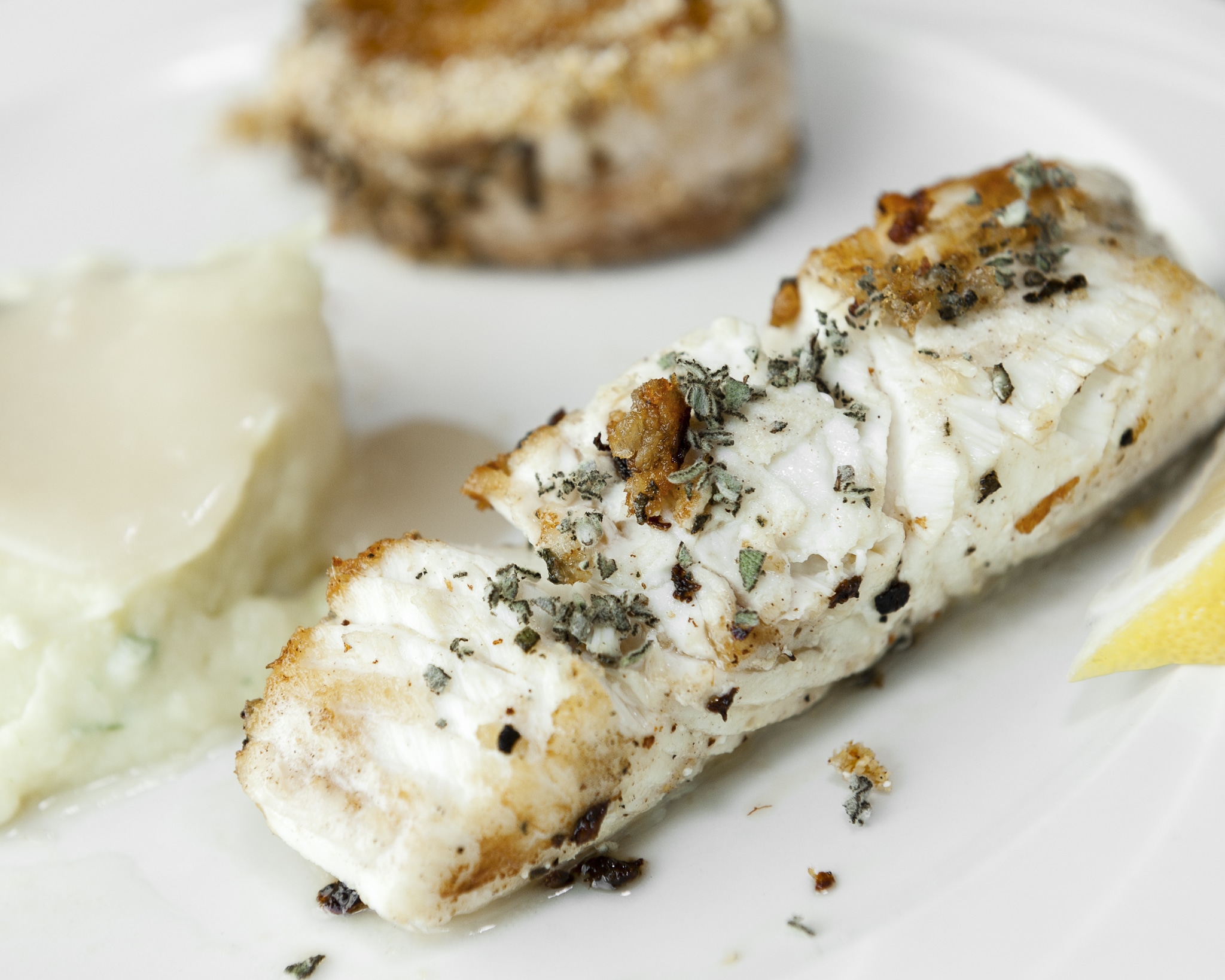 Close up of the texture of halibut on a plated dish at the Culinary Black Box Competition.