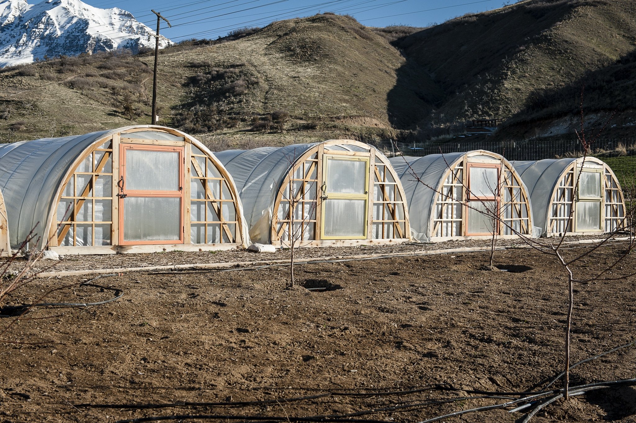 Four high tunnels on a vegetable and herb farm.
