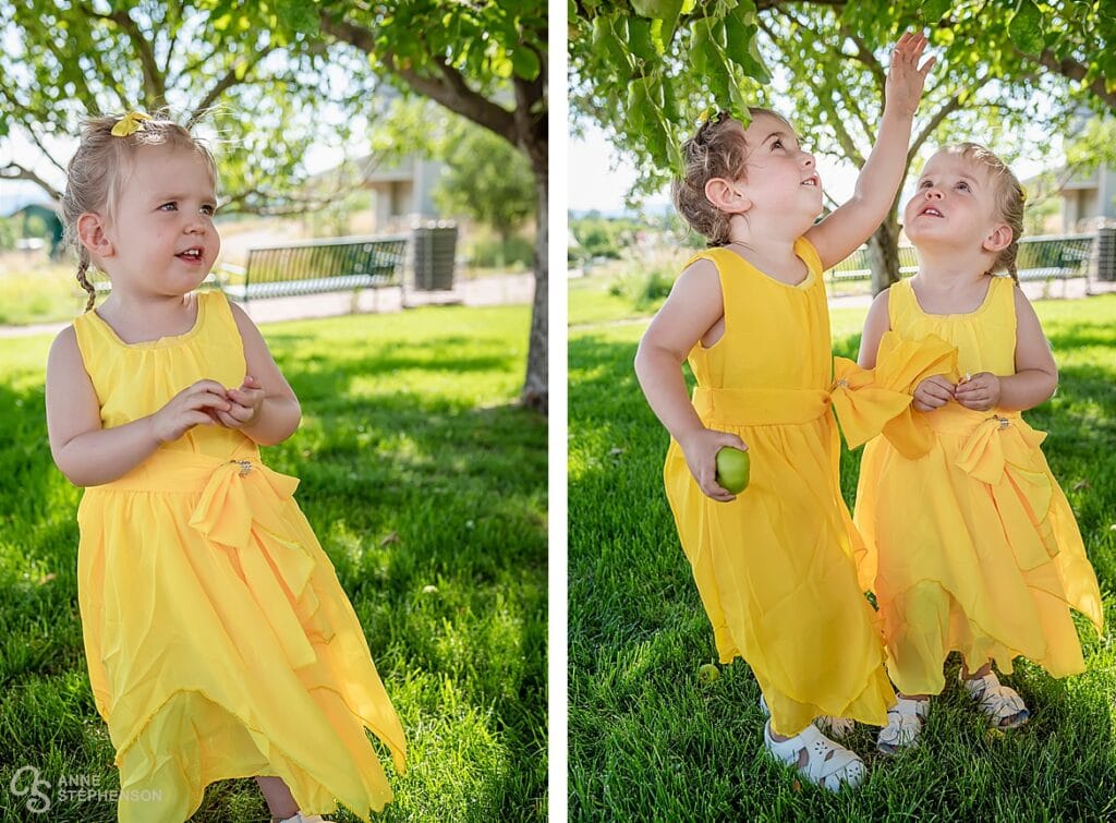 Flower girls in marigold-colored dresses pick green apples before the wedding.