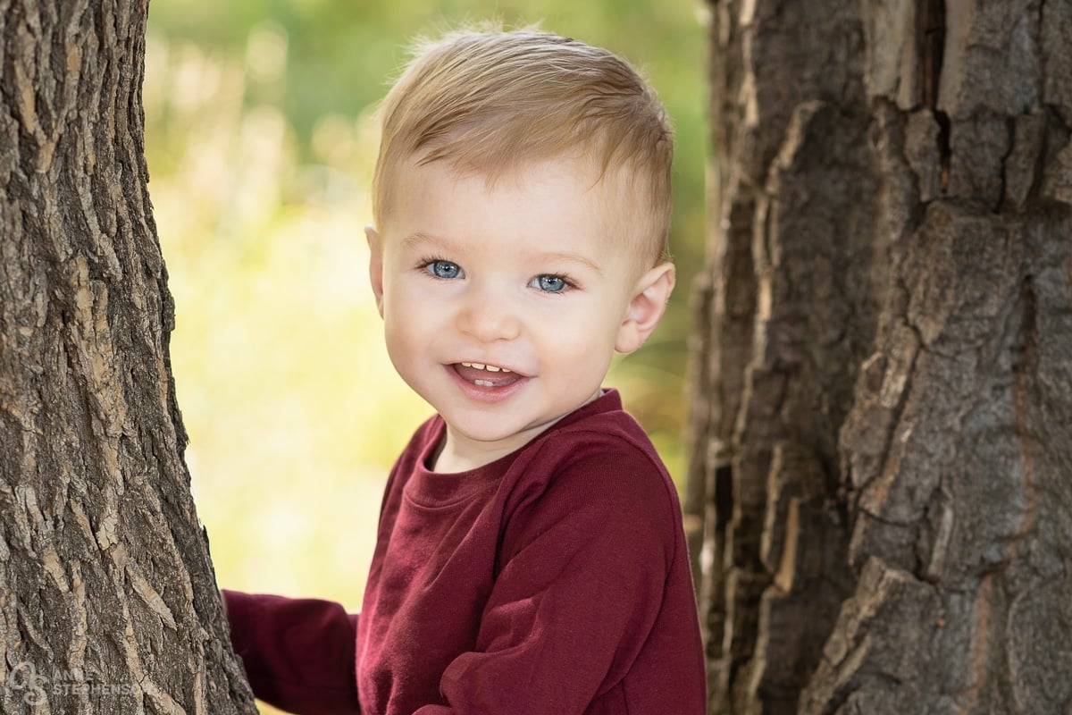 A happy toddler enjoys climbing trees during a family portrait session.