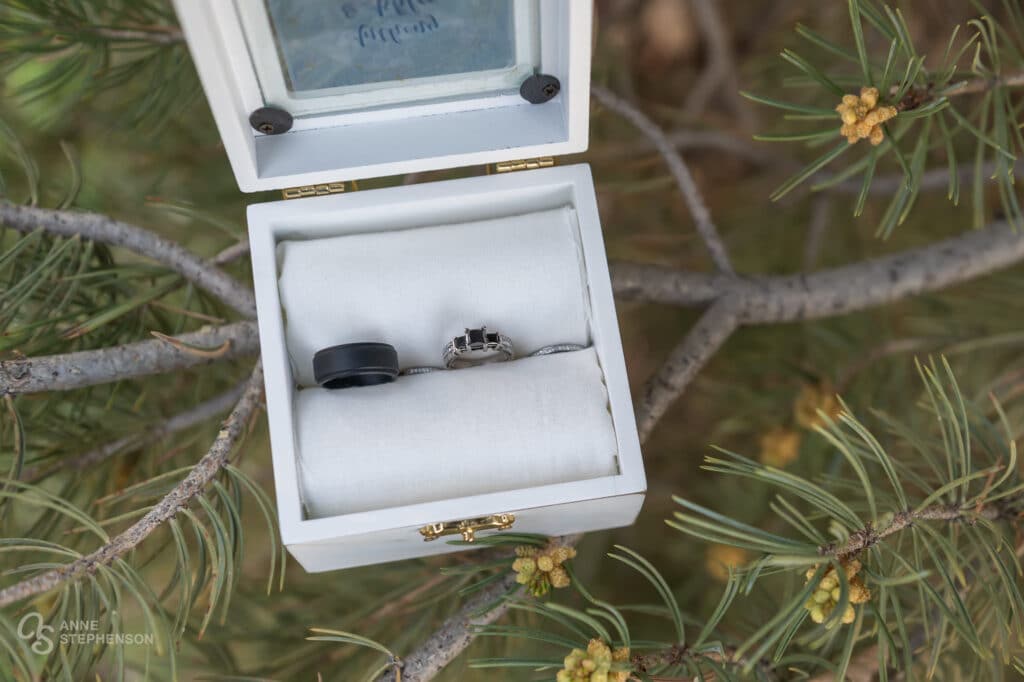 A ring box hinged open with the wedding rings nestled in a pine tree.