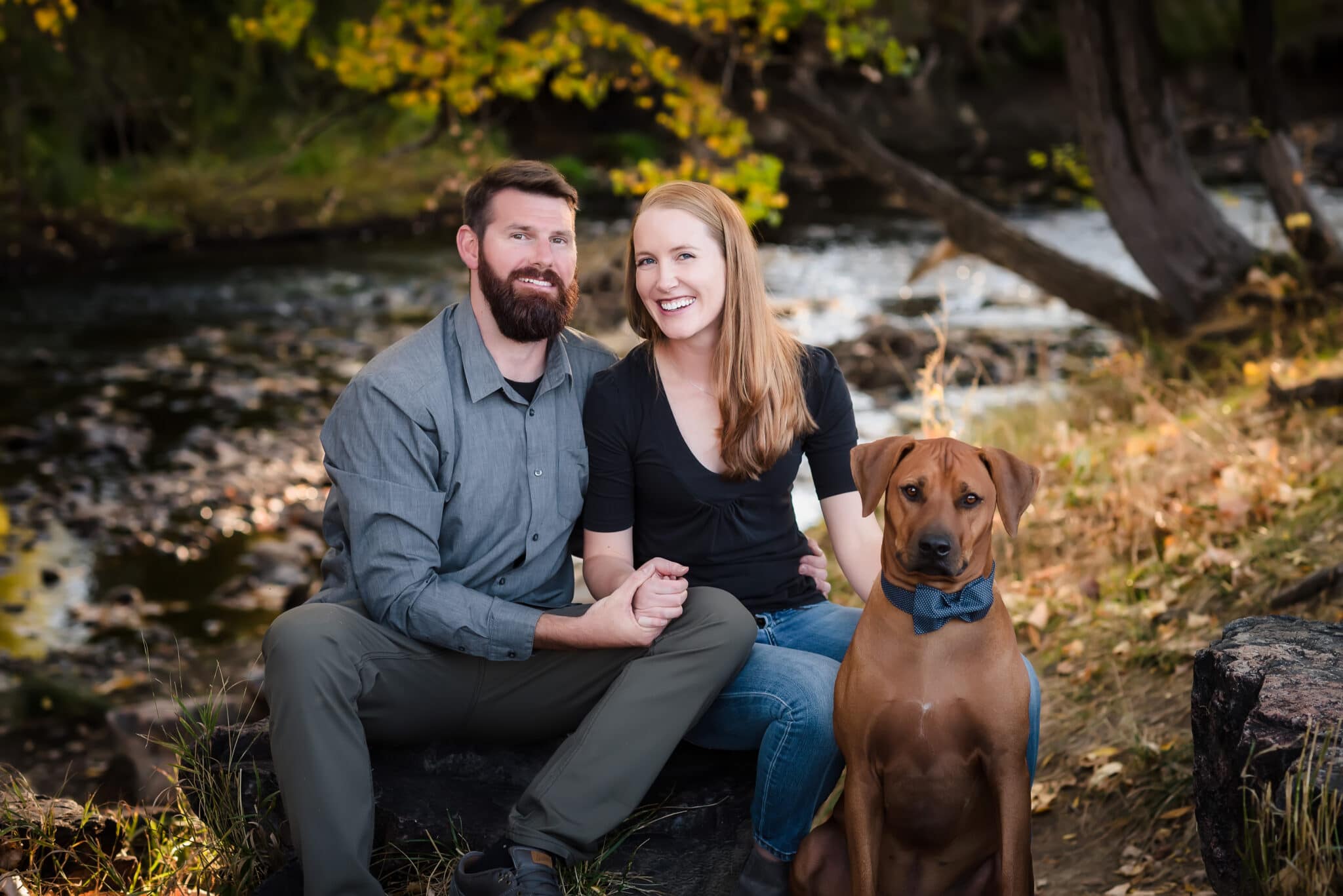 An engaged couple sitting on a rock hold hands during their engagement session as their dog looks on.