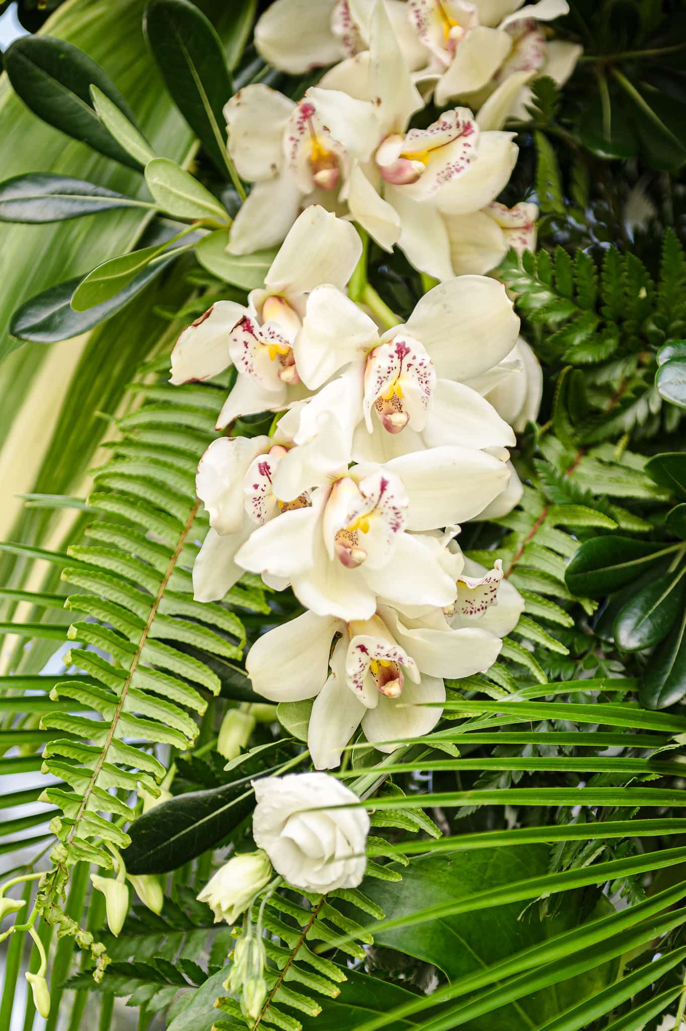 Hawaiian-inspired joyful backyard weddings include flowers like these.