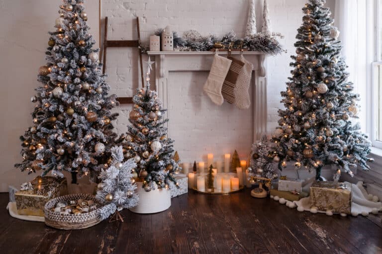 Capture Magic with 2023 Indoor Holiday Photo Mini-Sessions